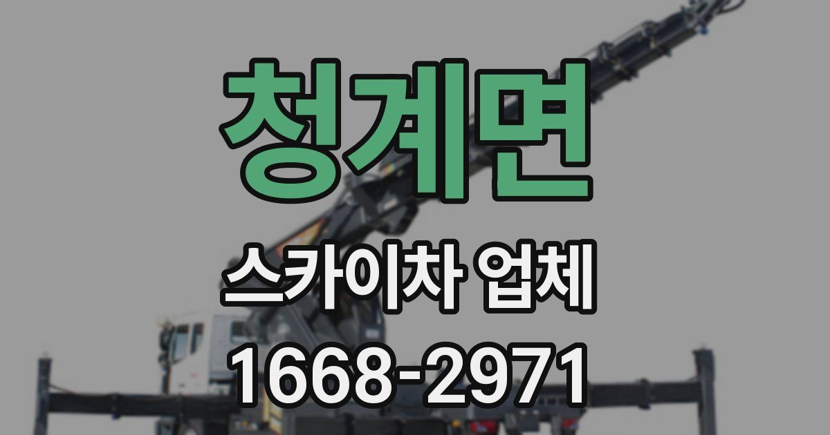 청계면 스카이차 업체