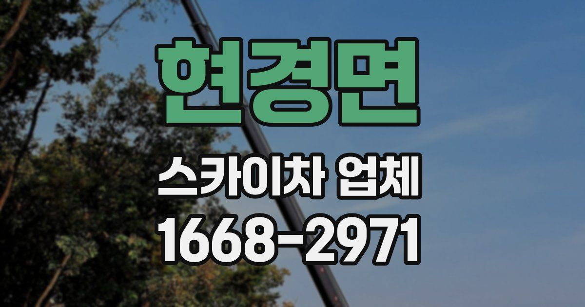 현경면 스카이차 업체