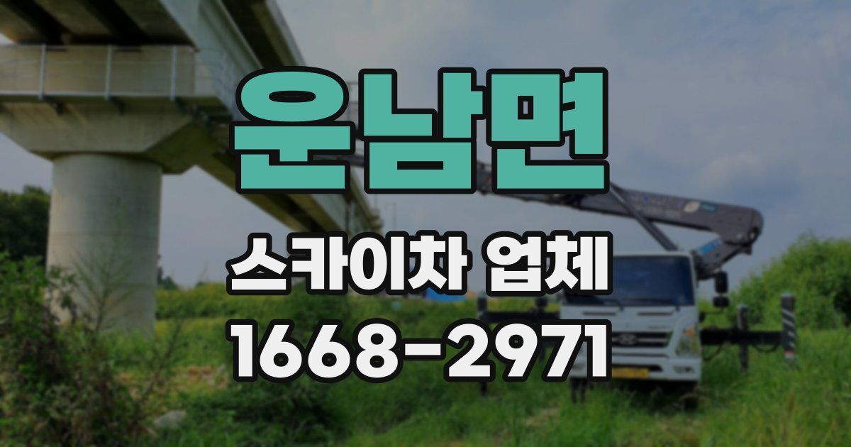 운남면 스카이차 업체