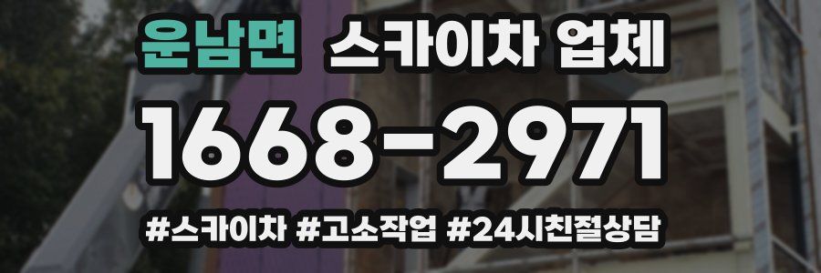운남면 스카이차 업체