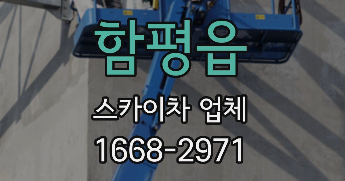 함평읍 스카이차 업체