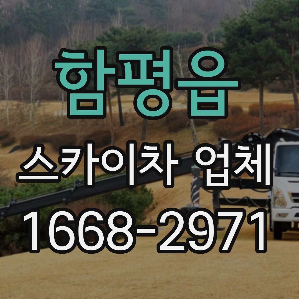 함평읍 스카이차 업체