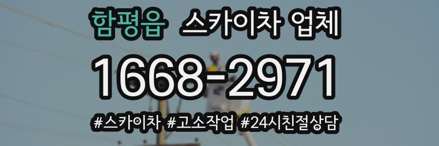 함평읍 스카이차 업체