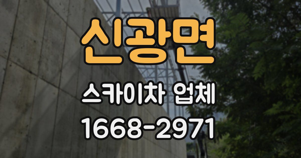 신광면 스카이차 업체