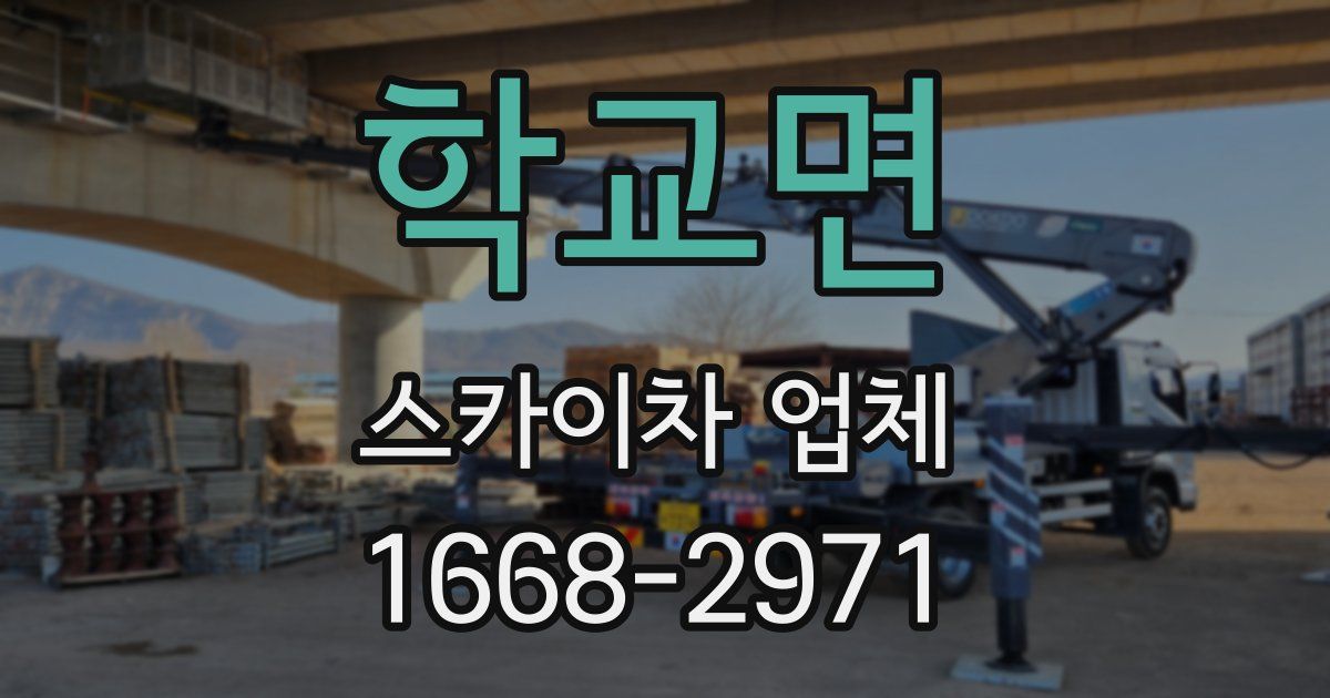 학교면 스카이차 업체