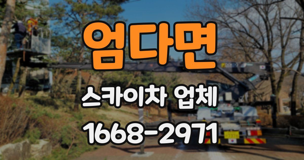 엄다면 스카이차 업체