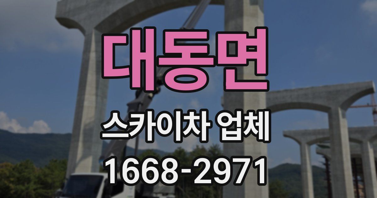 대동면 스카이차 업체