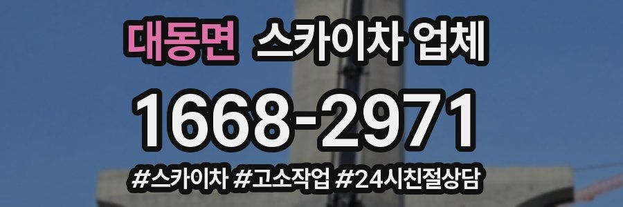 대동면 스카이차 업체
