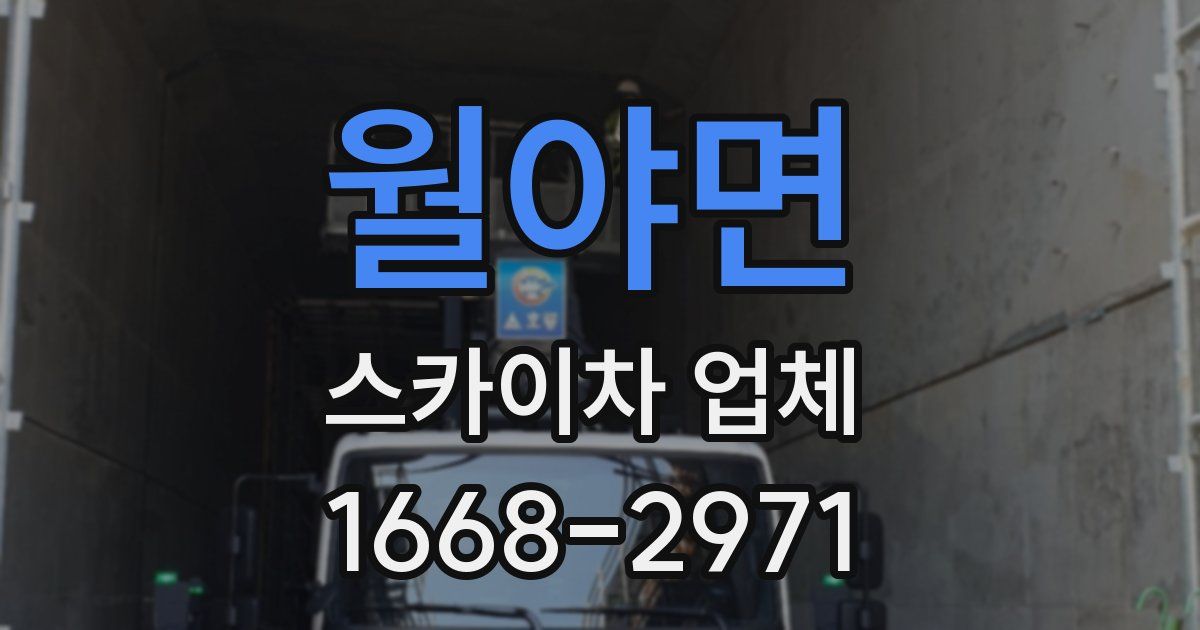 월야면 스카이차 업체