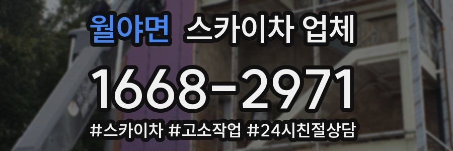 월야면 스카이차 업체
