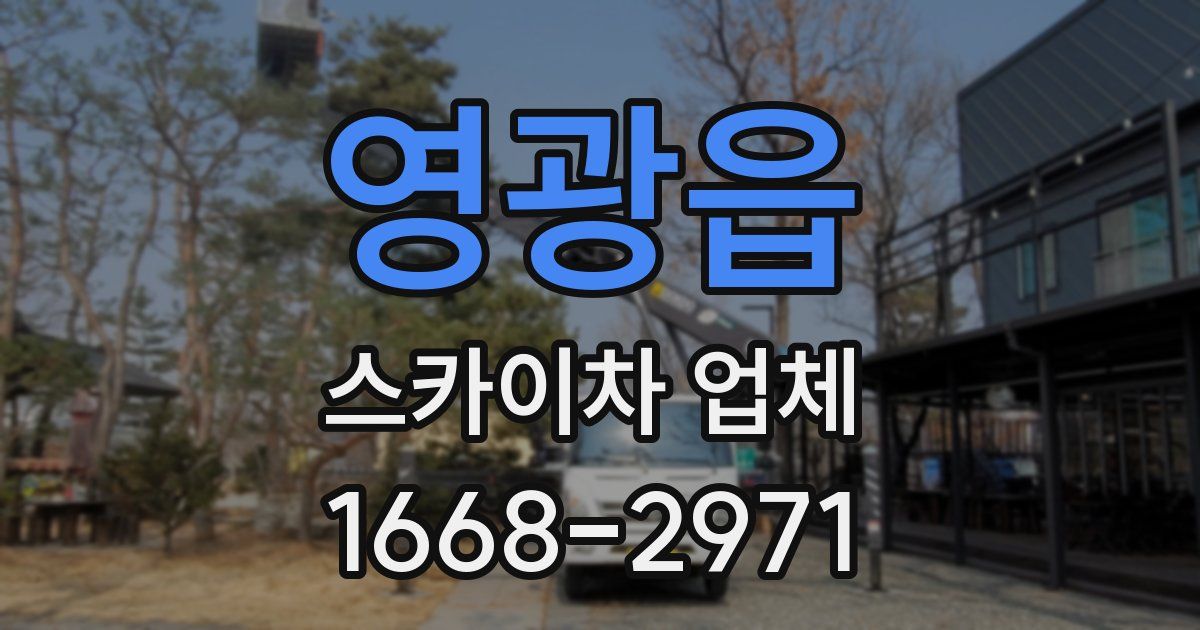영광읍 스카이차 업체