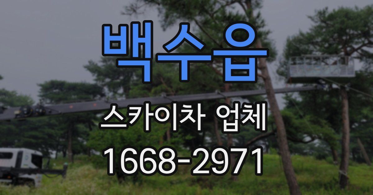 백수읍 스카이차 업체