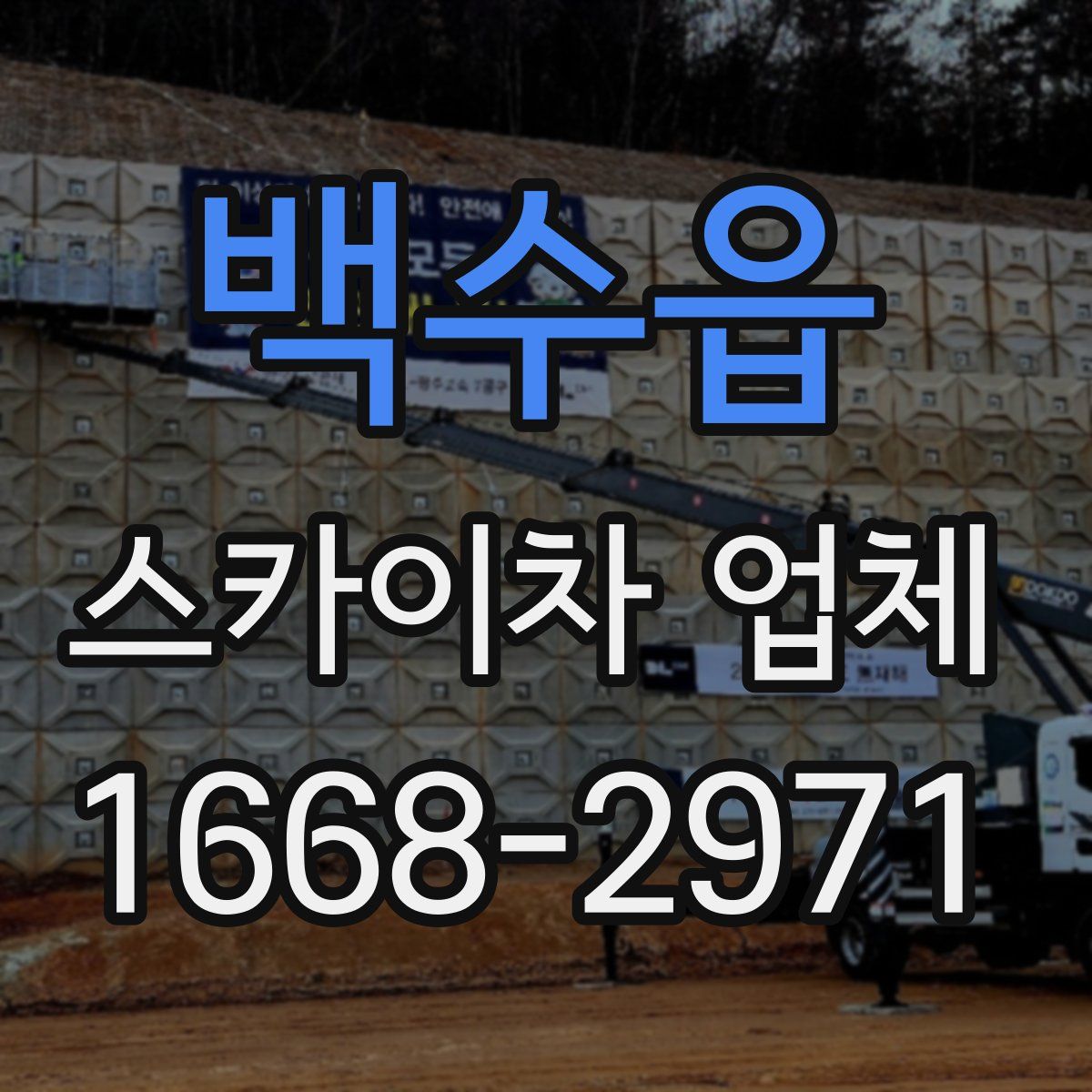 백수읍 스카이차 업체