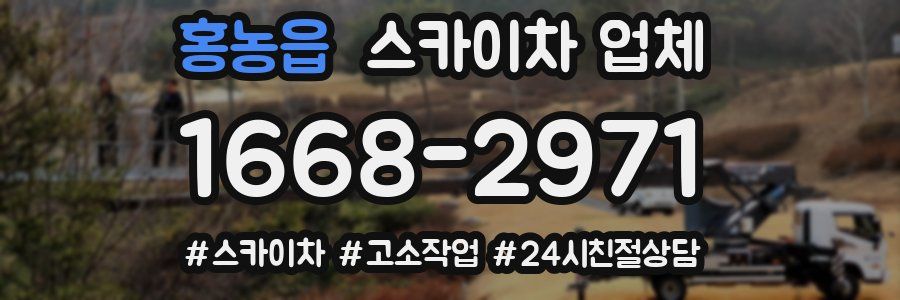 홍농읍 스카이차 업체