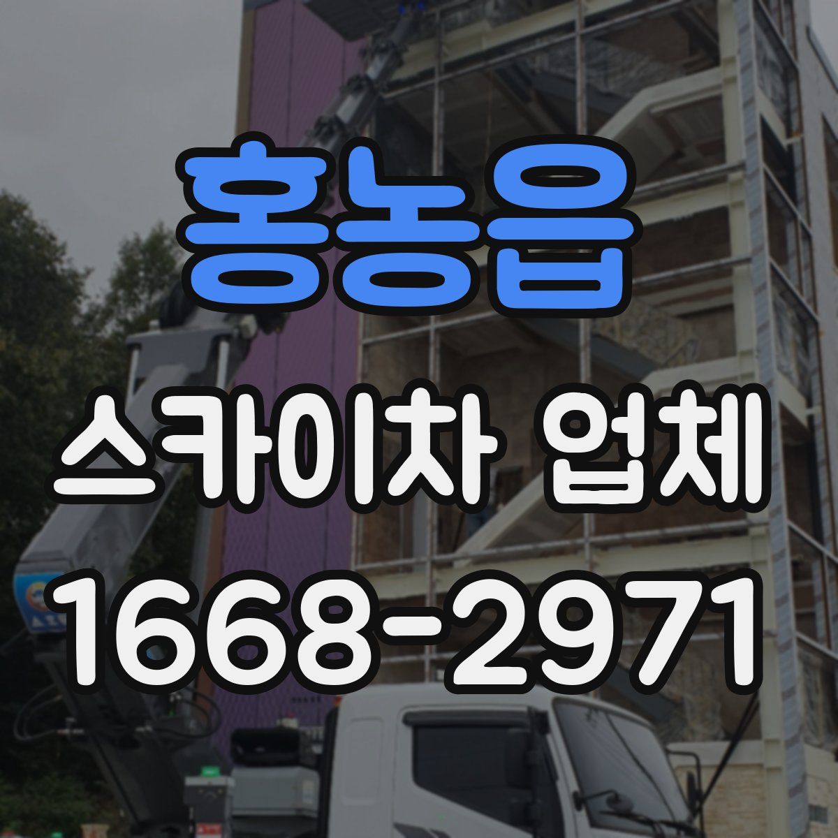 홍농읍 스카이차 업체