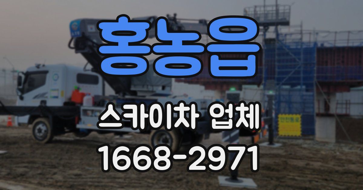 홍농읍 스카이차 업체