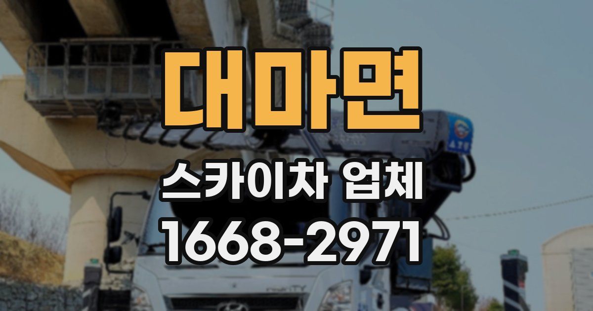 대마면 스카이차 업체