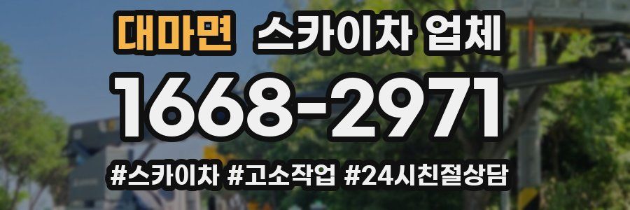 대마면 스카이차 업체