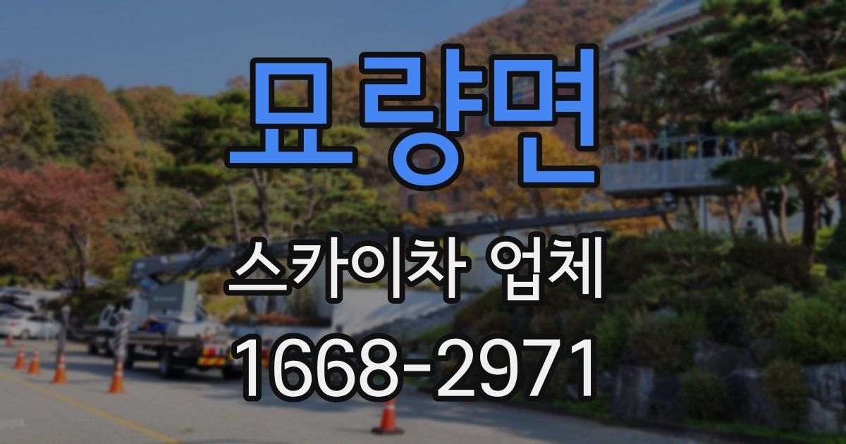 묘량면 스카이차 업체