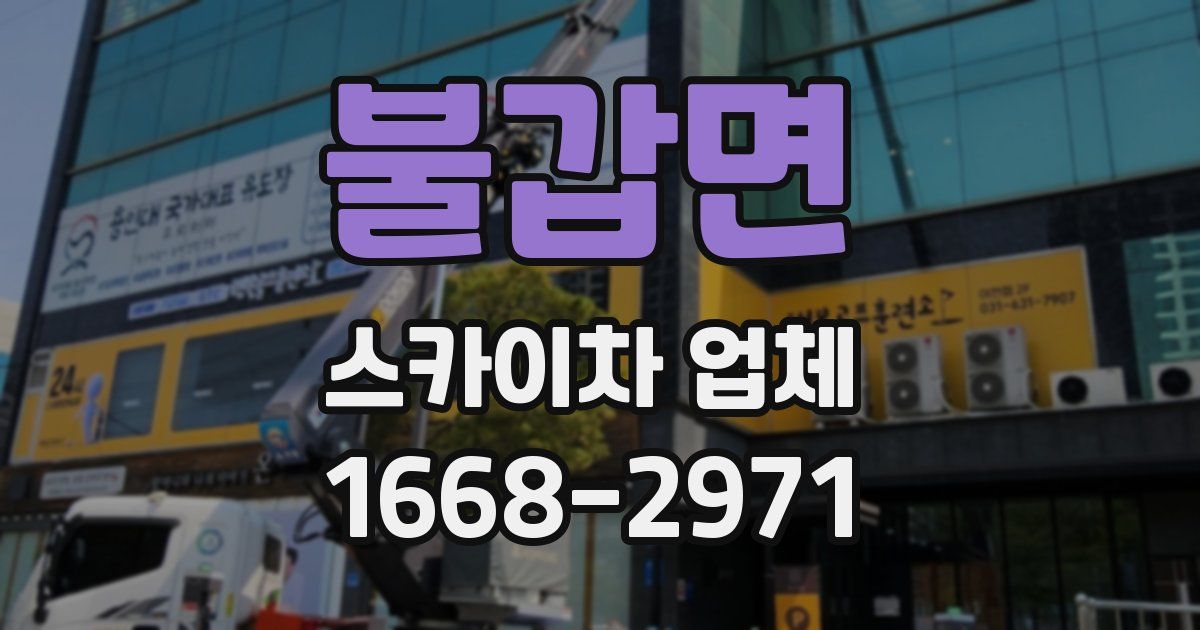 불갑면 스카이차 업체