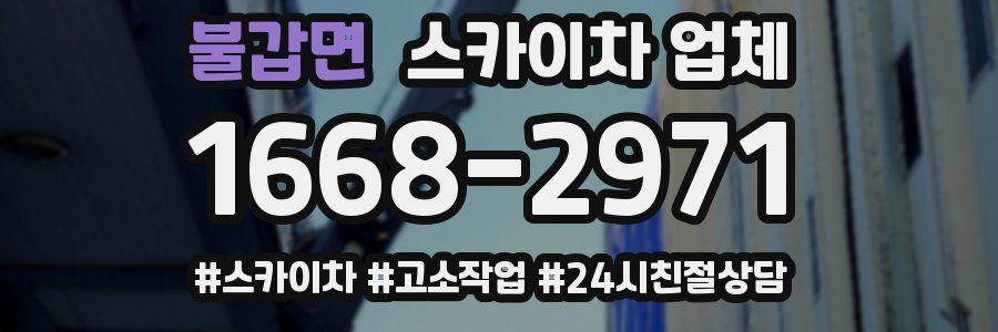불갑면 스카이차 업체