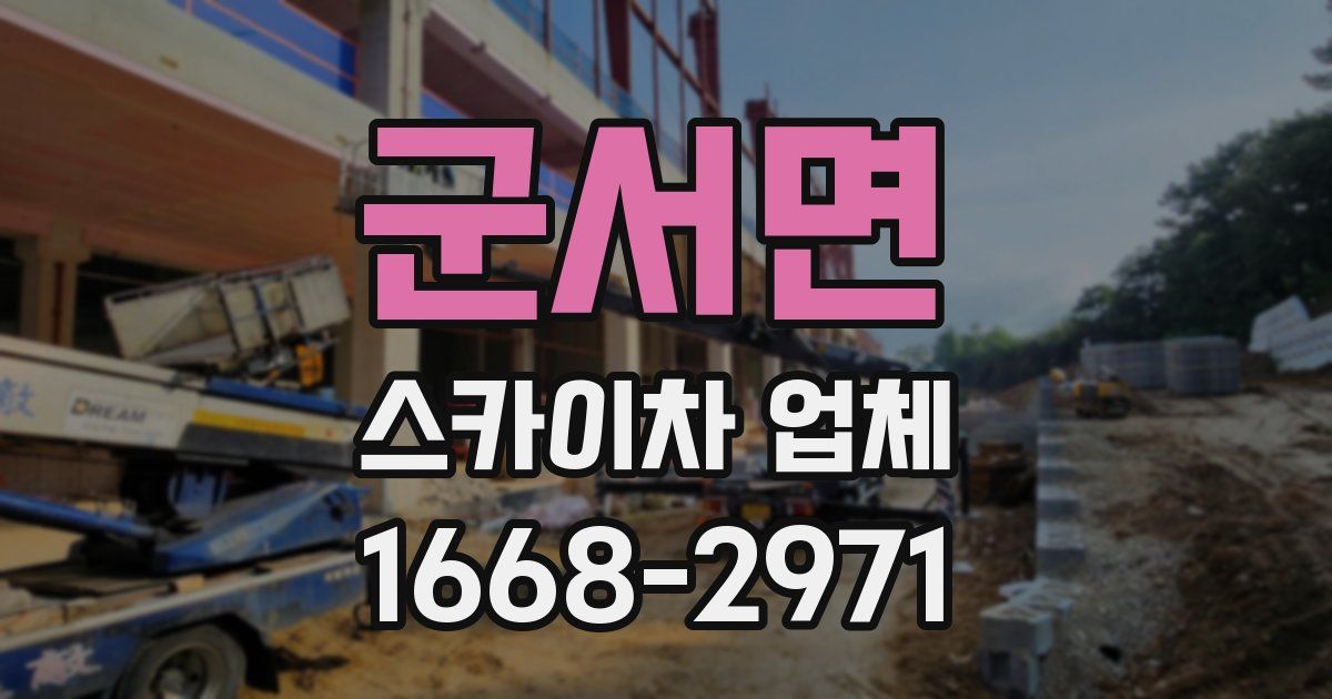 군서면 스카이차 업체