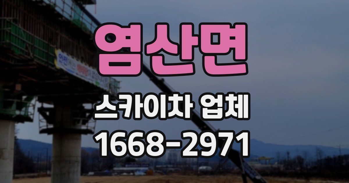 염산면 스카이차 업체