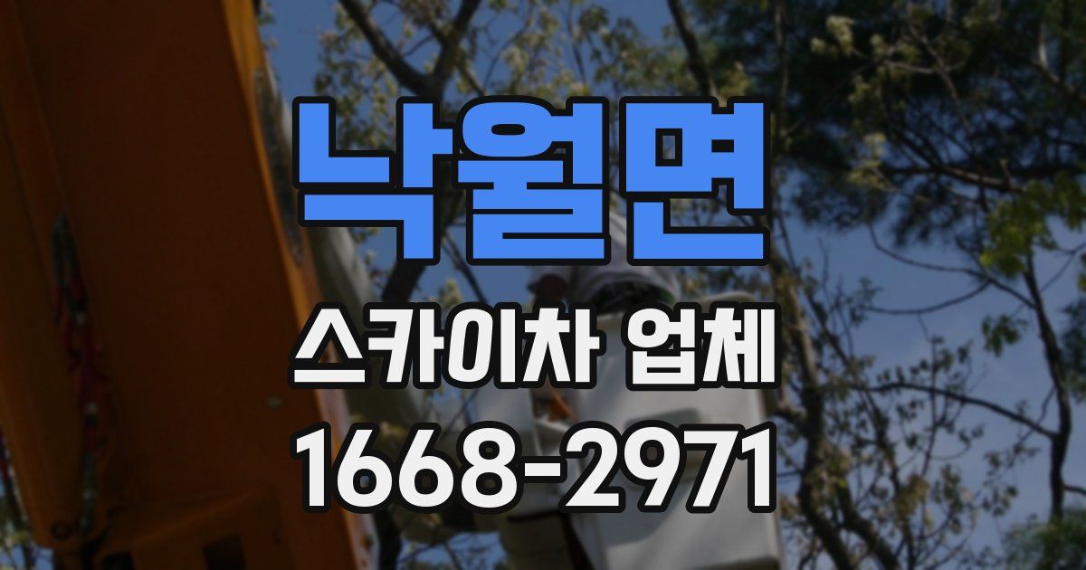 낙월면 스카이차 업체