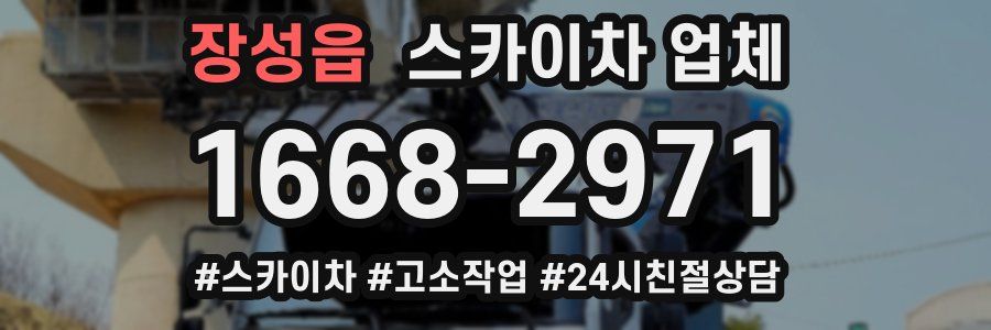 장성읍 스카이차 업체