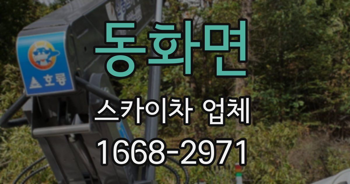 동화면 스카이차 업체