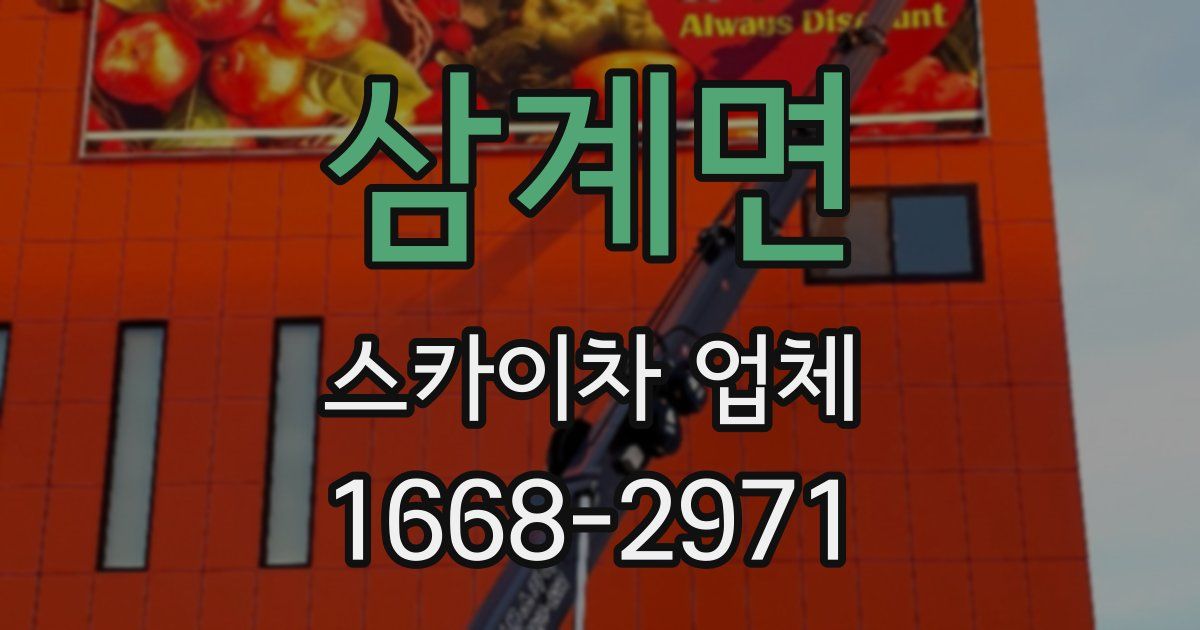 삼계면 스카이차 업체