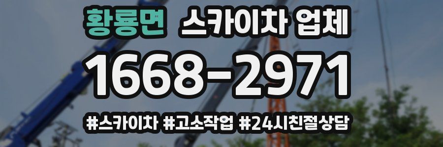 황룡면 스카이차 업체