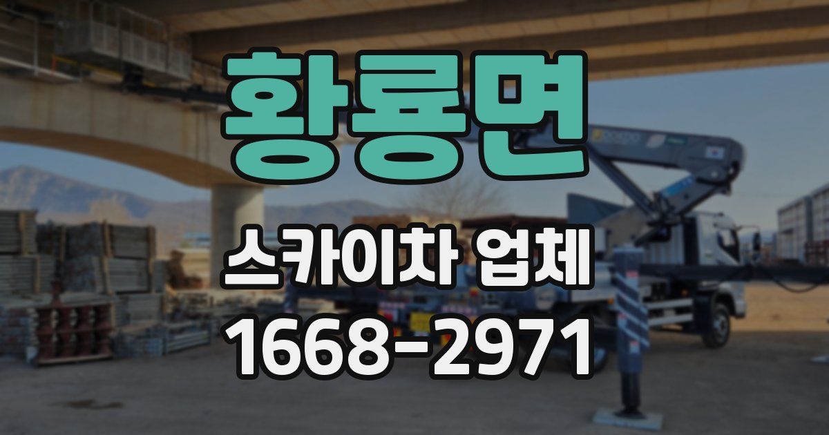황룡면 스카이차 업체