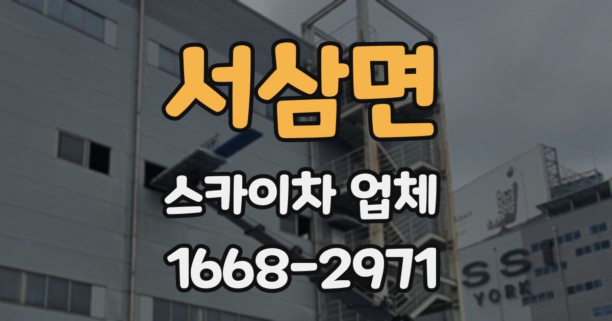 서삼면 스카이차 업체