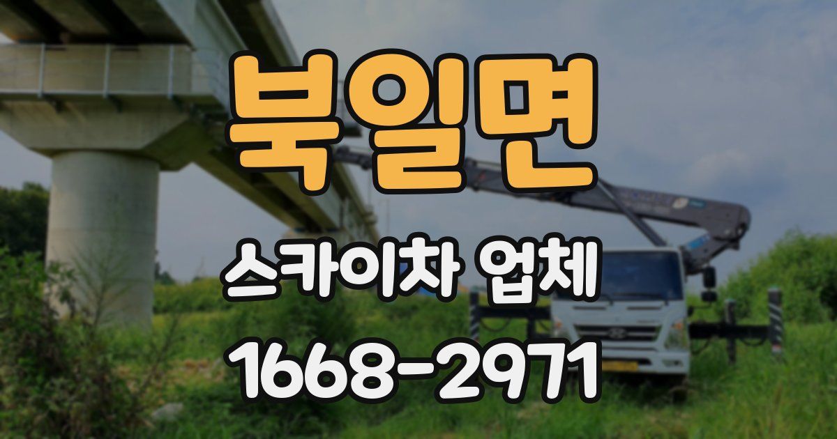 북일면 스카이차 업체