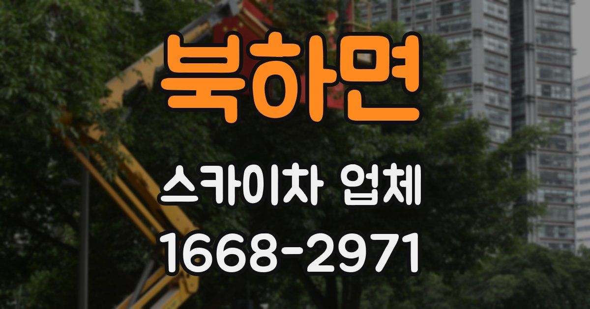 북하면 스카이차 업체