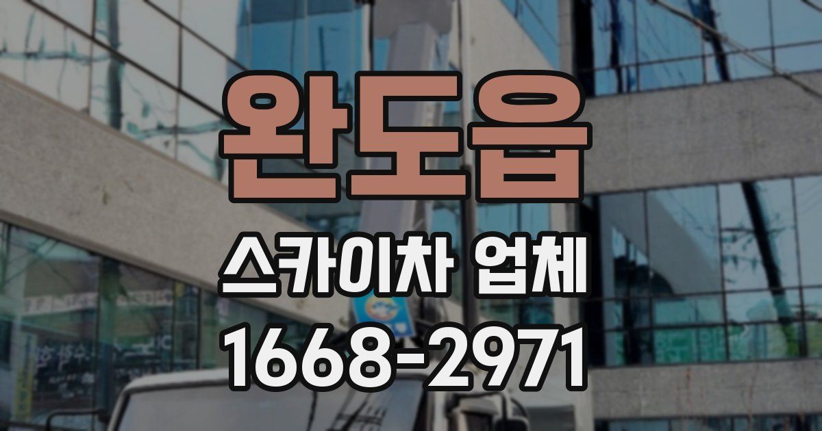 완도읍 스카이차 업체