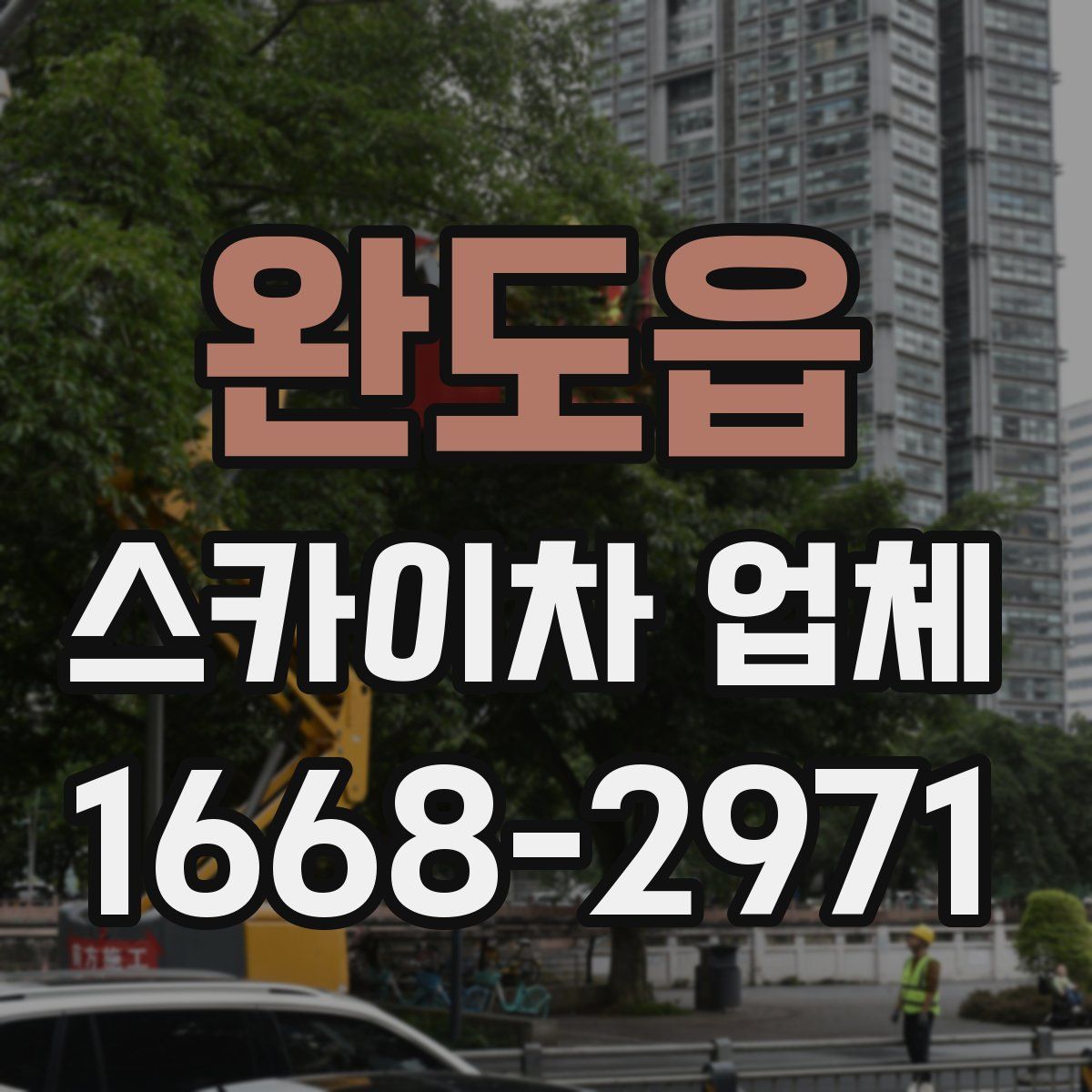 완도읍 스카이차 업체