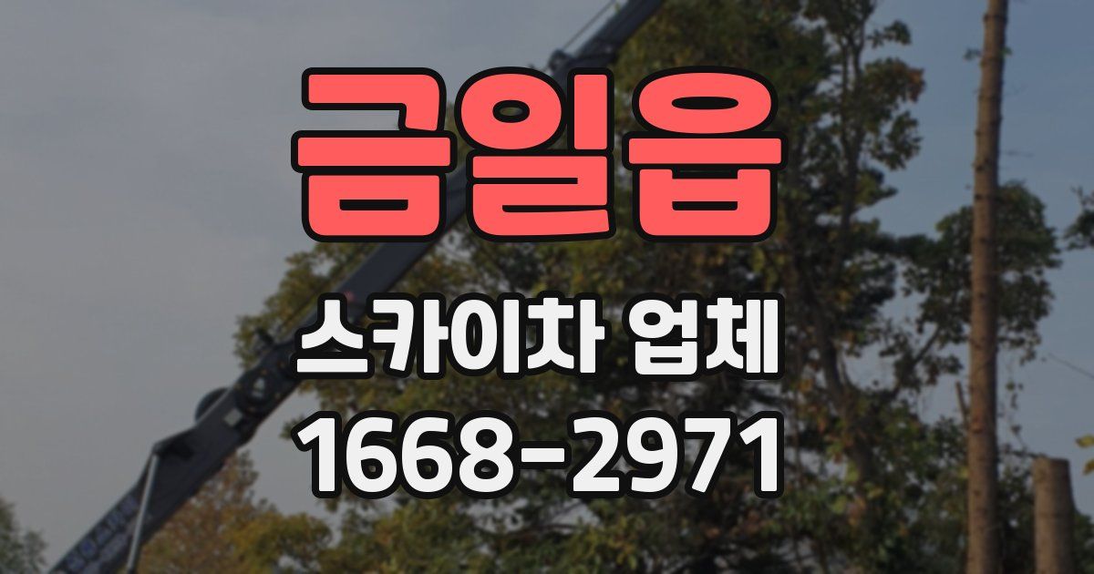 금일읍 스카이차 업체