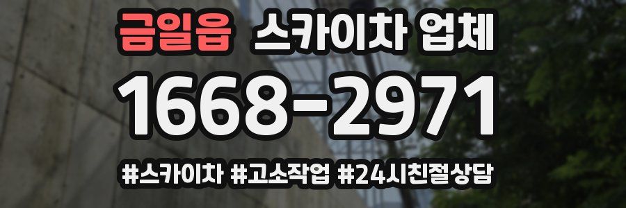 금일읍 스카이차 업체
