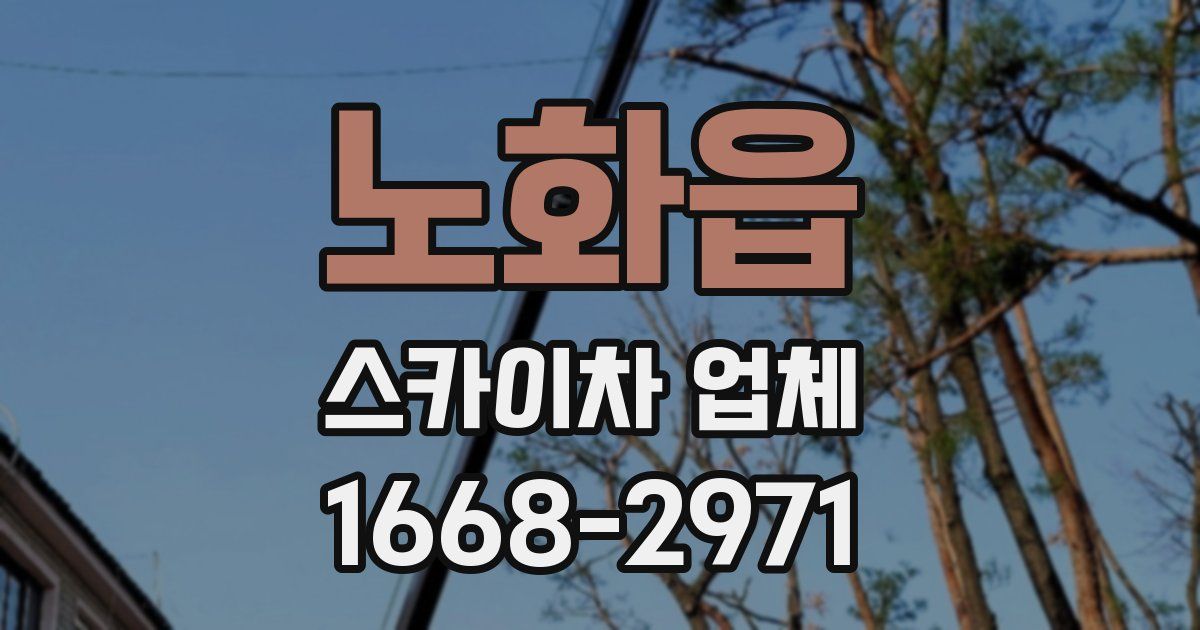 노화읍 스카이차 업체
