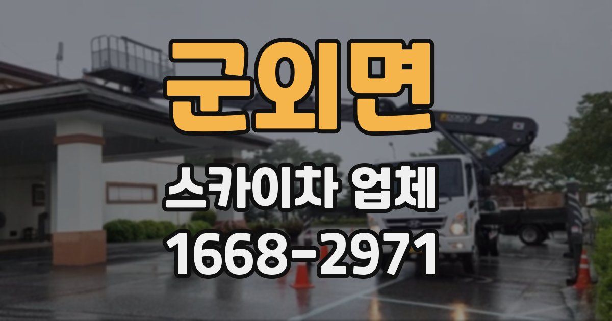 군외면 스카이차 업체