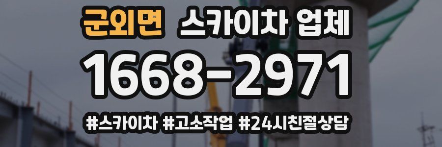 군외면 스카이차 업체