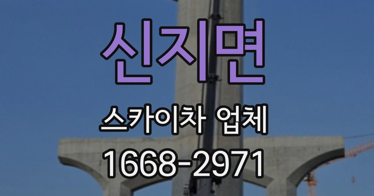 신지면 스카이차 업체