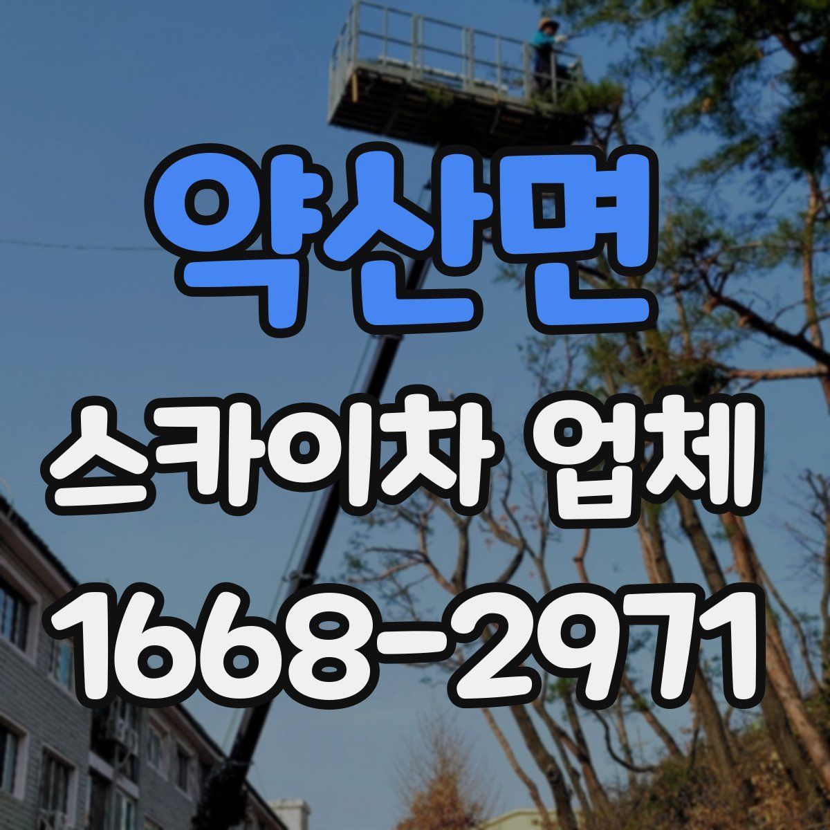 약산면 스카이차 업체