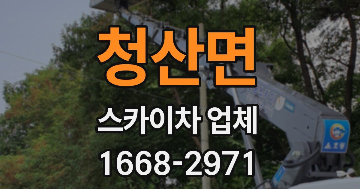 청산면 스카이차 업체
