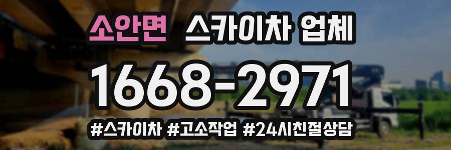 소안면 스카이차 업체