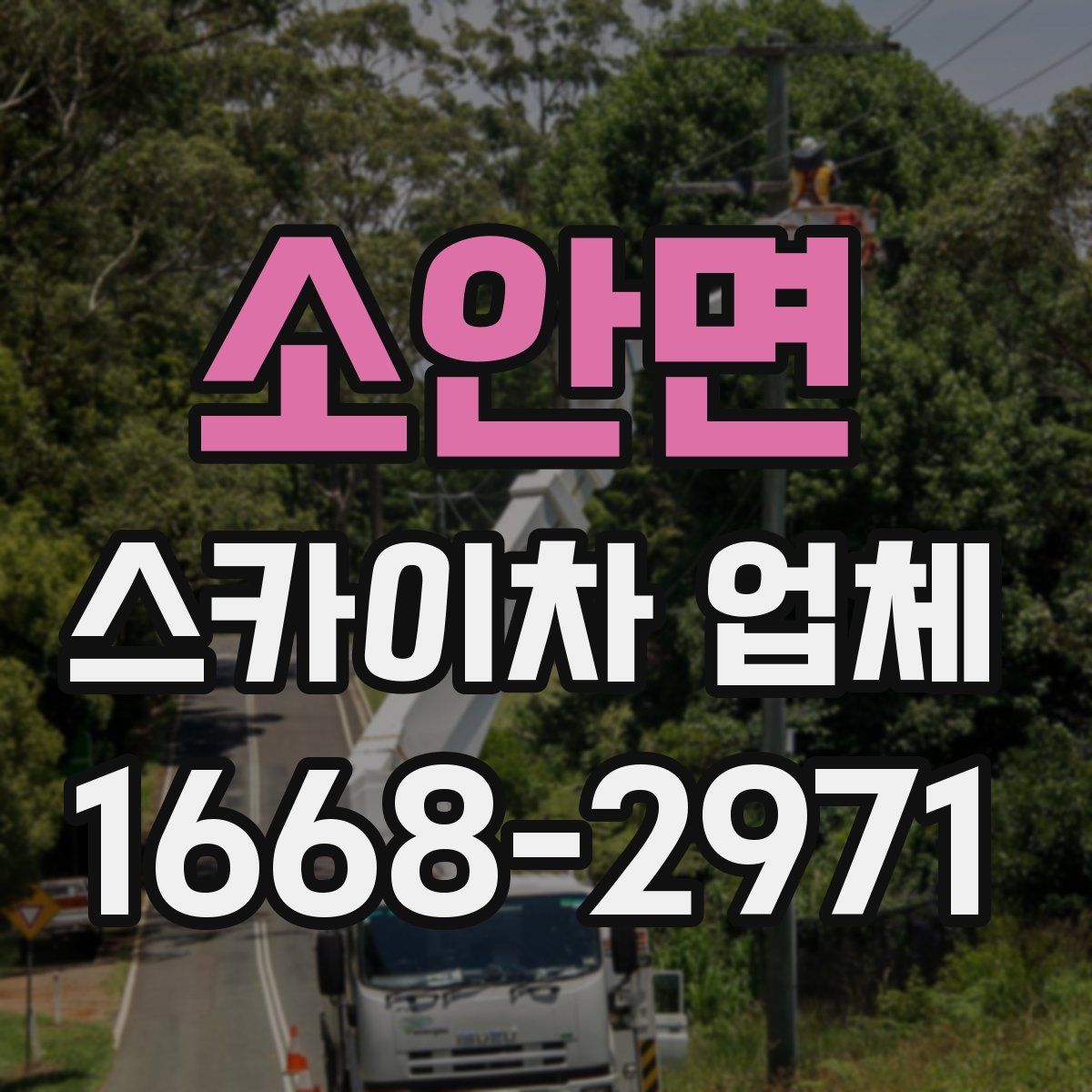 소안면 스카이차 업체