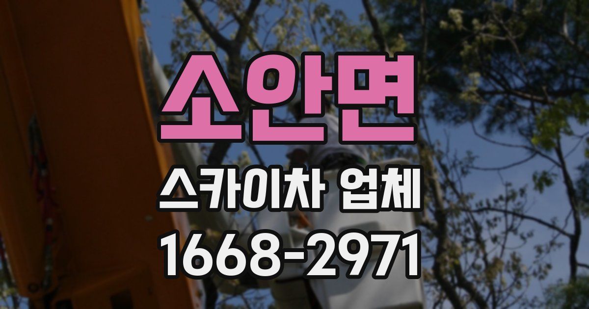 소안면 스카이차 업체