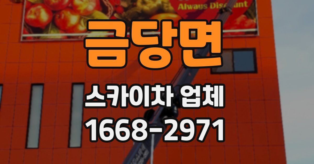 금당면 스카이차 업체